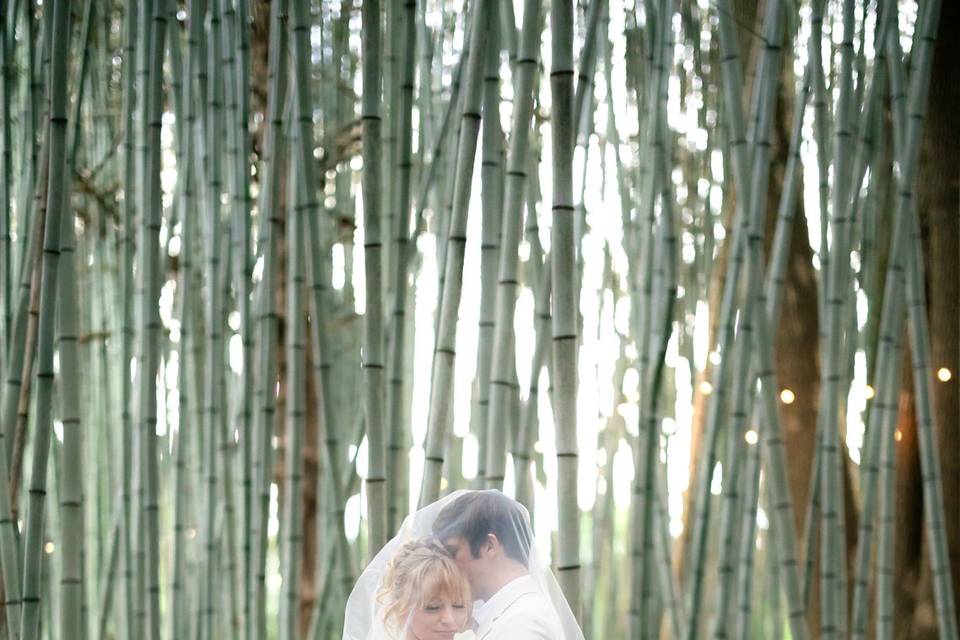 Bride and Groom