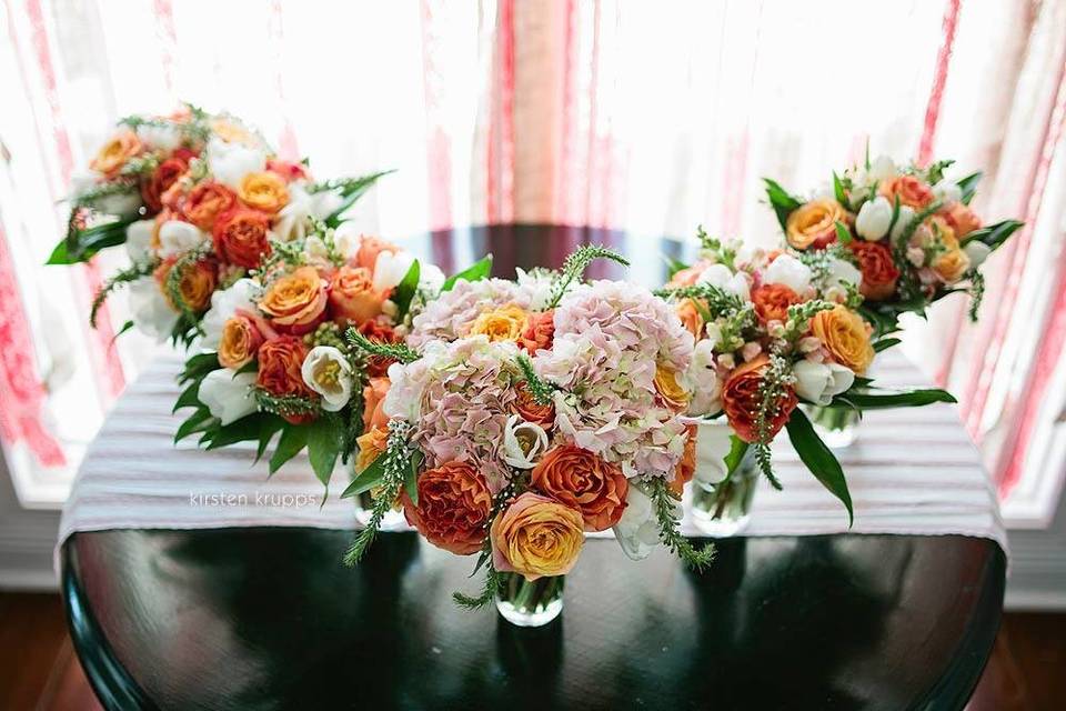 Kirsten Krupps Photography