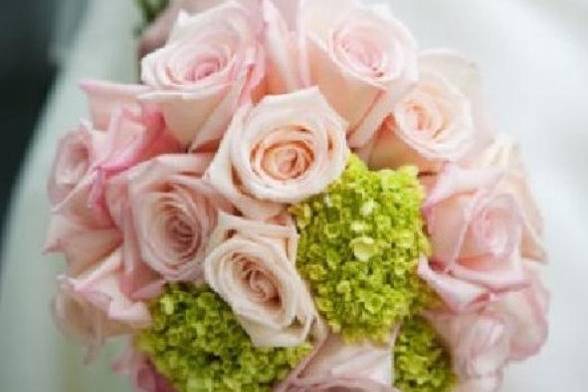 Bride's bouquet with pink roses and green hydrangeas.