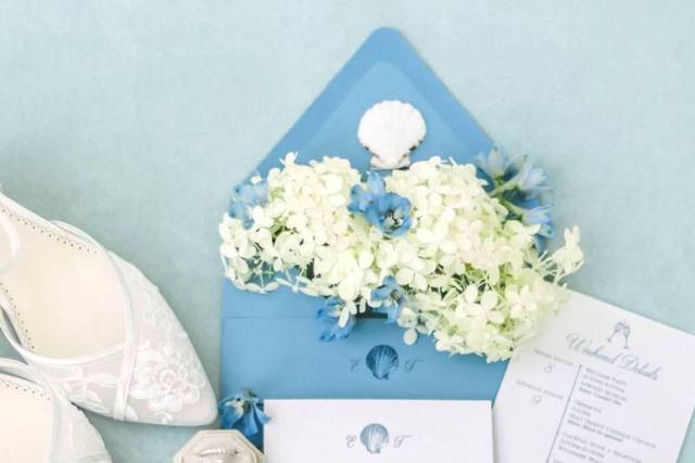 Shell invitation