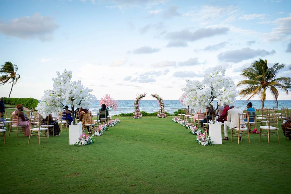 Cherry Blossoms Ceremony