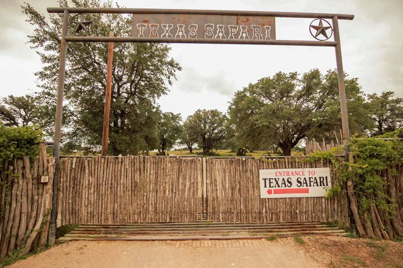 Texas Safari Ranch