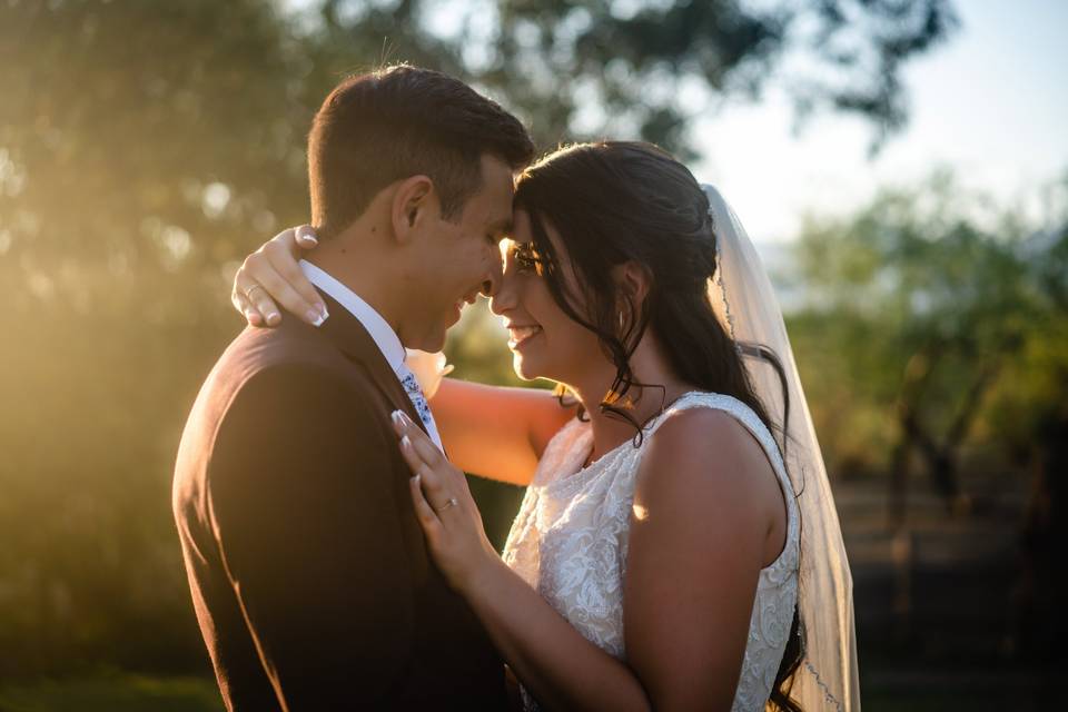 WEDDINGS BY CONEXUS