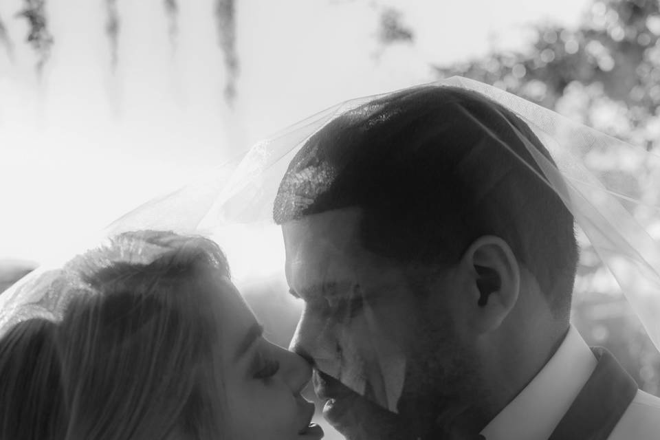 WEDDINGS BY CONEXUS