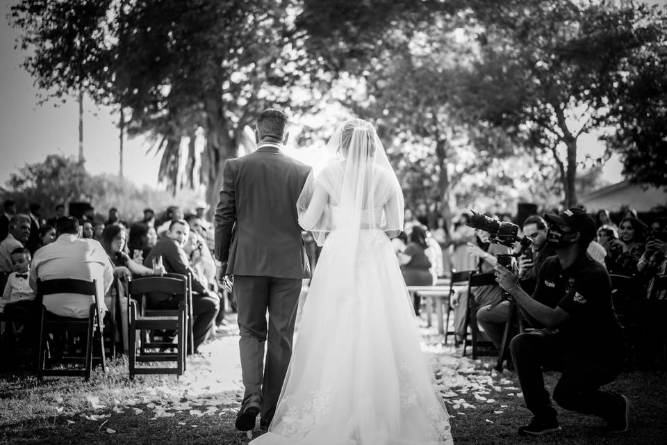 WEDDINGS BY CONEXUS