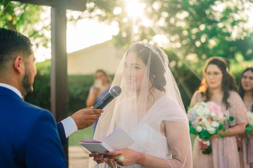 WEDDINGS BY CONEXUS