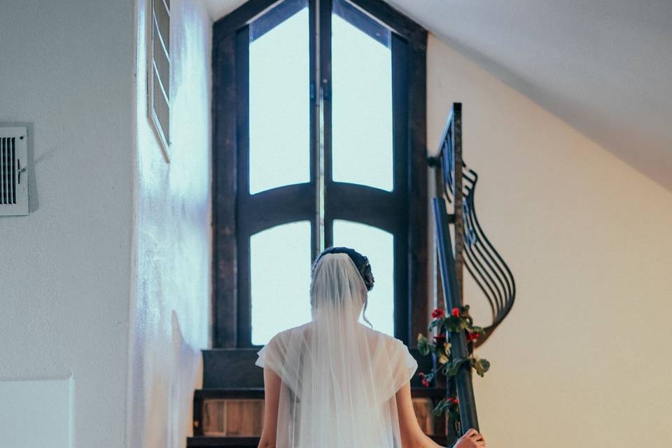WEDDINGS BY CONEXUS