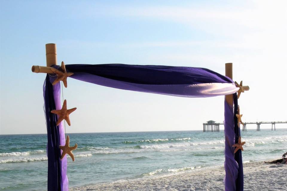 Purple Arch with sugar star fish set up.