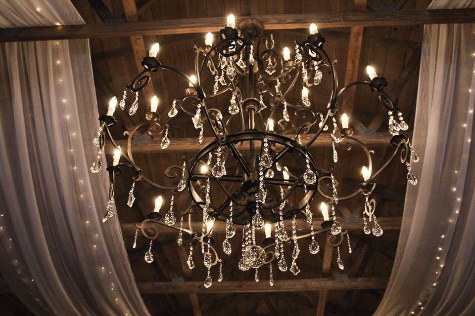 Reception chandelier