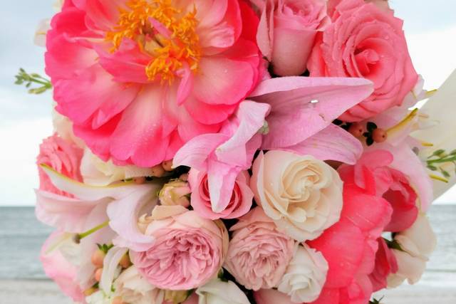Christie's Flowers & Gifts