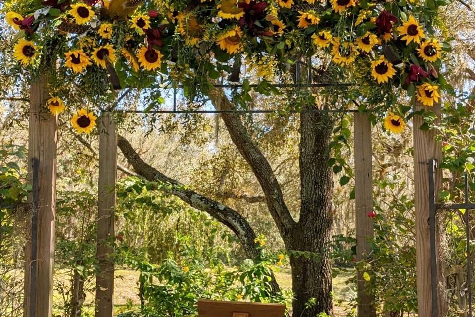 Sunflower Arch