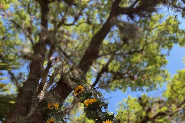 Sunflower Arch