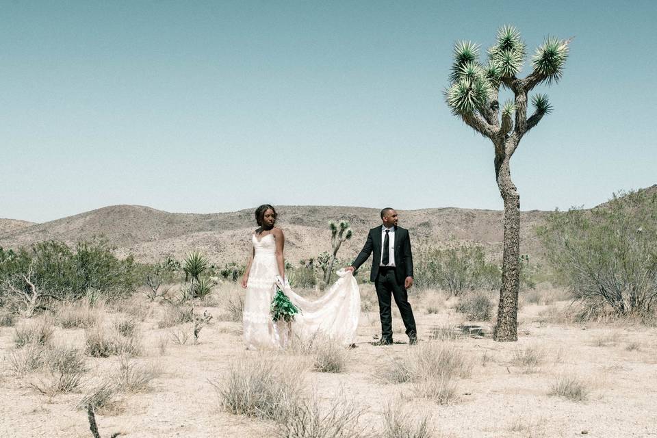 Desert wedding