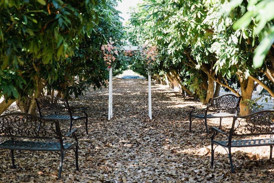 Ceremony Space in our grove