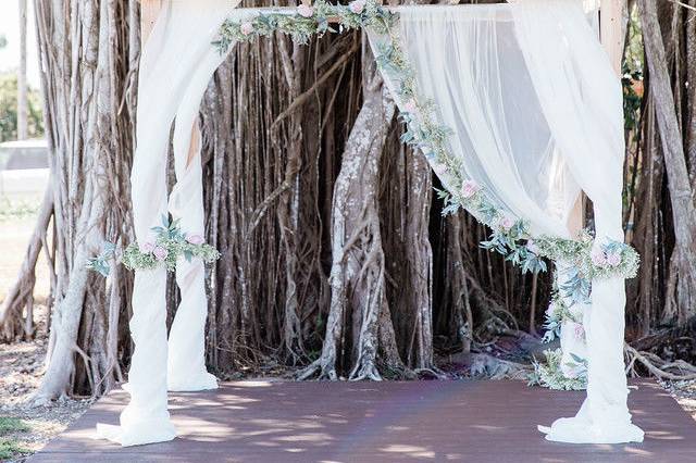 Ceremony space in front of our beautiful ficus tree.