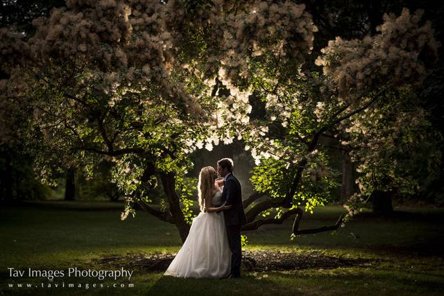 Tav Images Photography