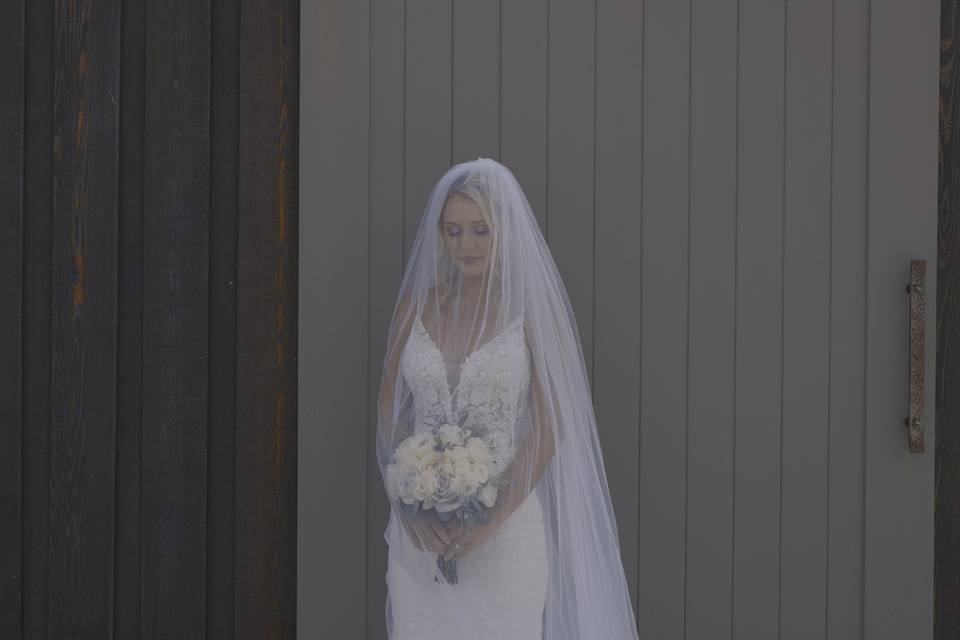 Bride Under Her Veil
