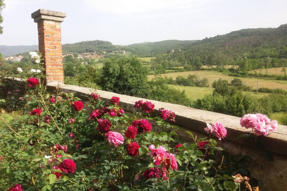View from villa Cini