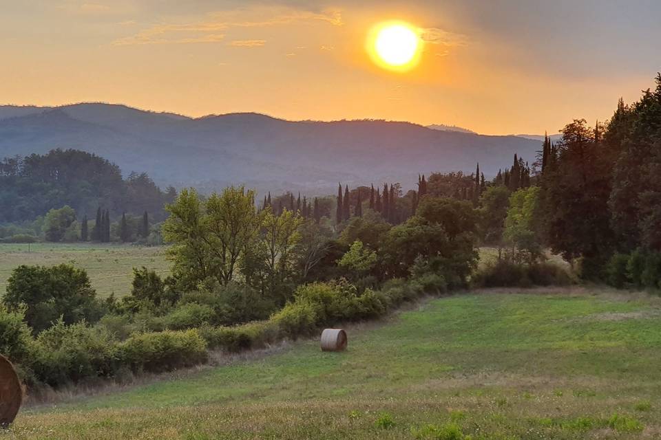Sunset from villa Cini