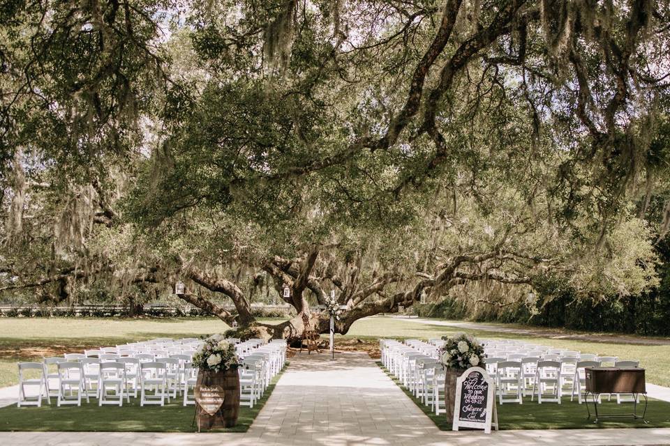 Ceremony Tree