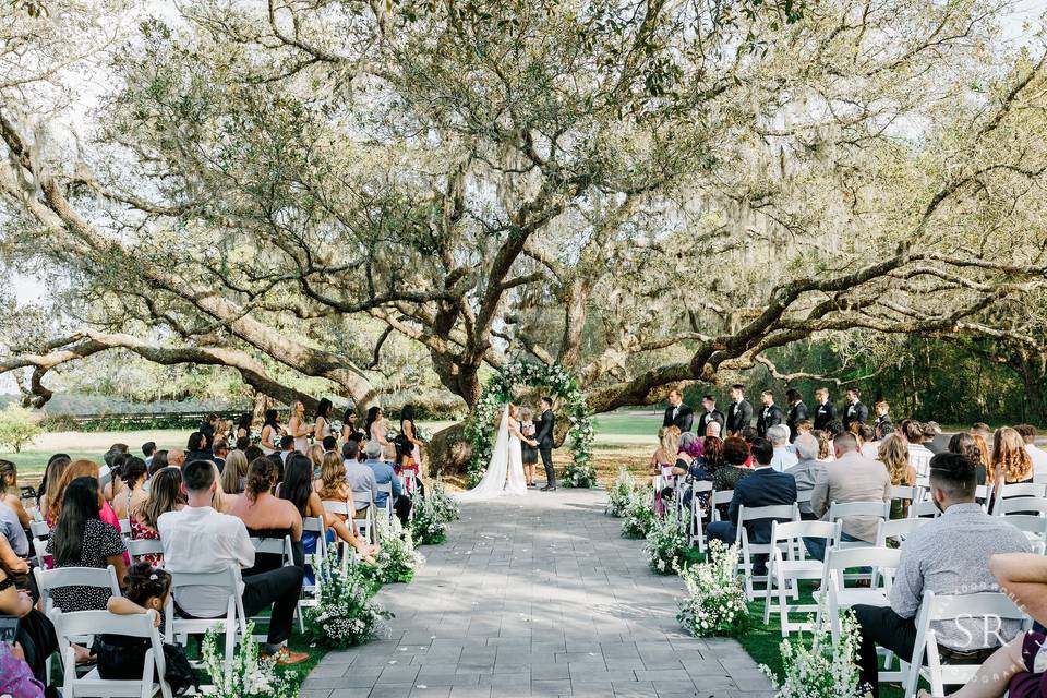 Ceremony Tree