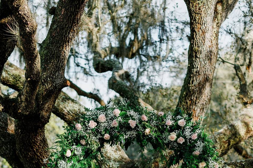 Ceremony Tree