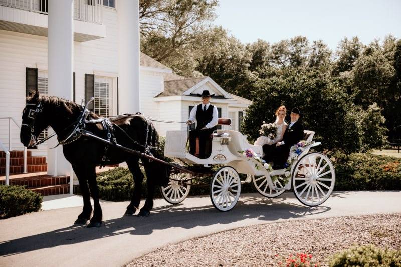 Horse & Carriage Exit