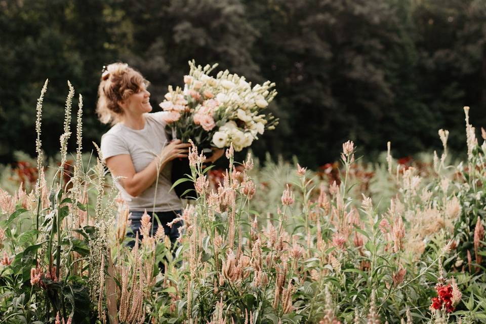 Picking the blooms