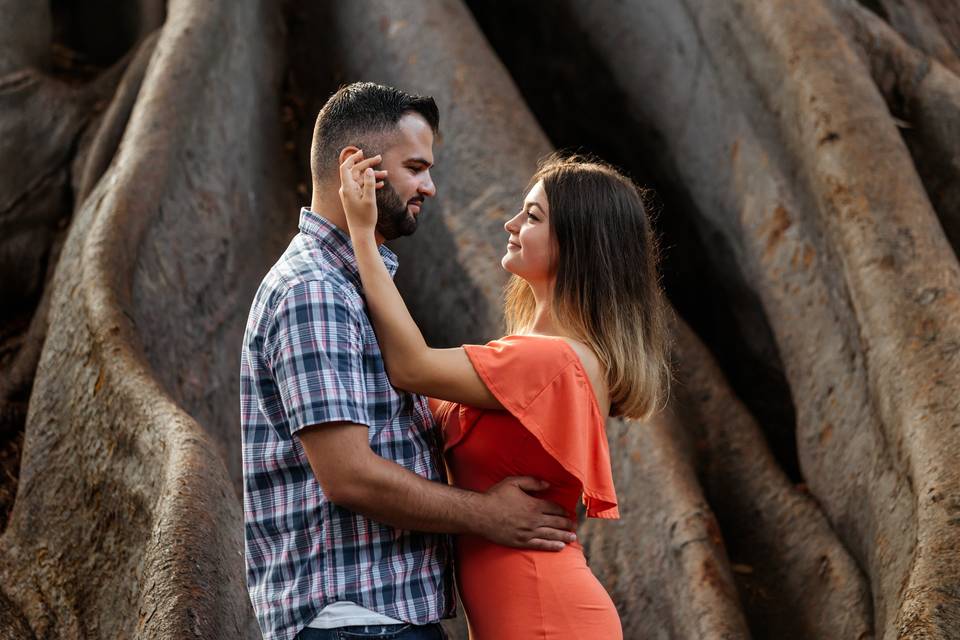 Engagement session