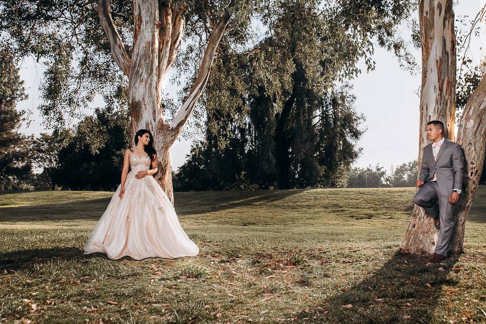 Elopement before sunset