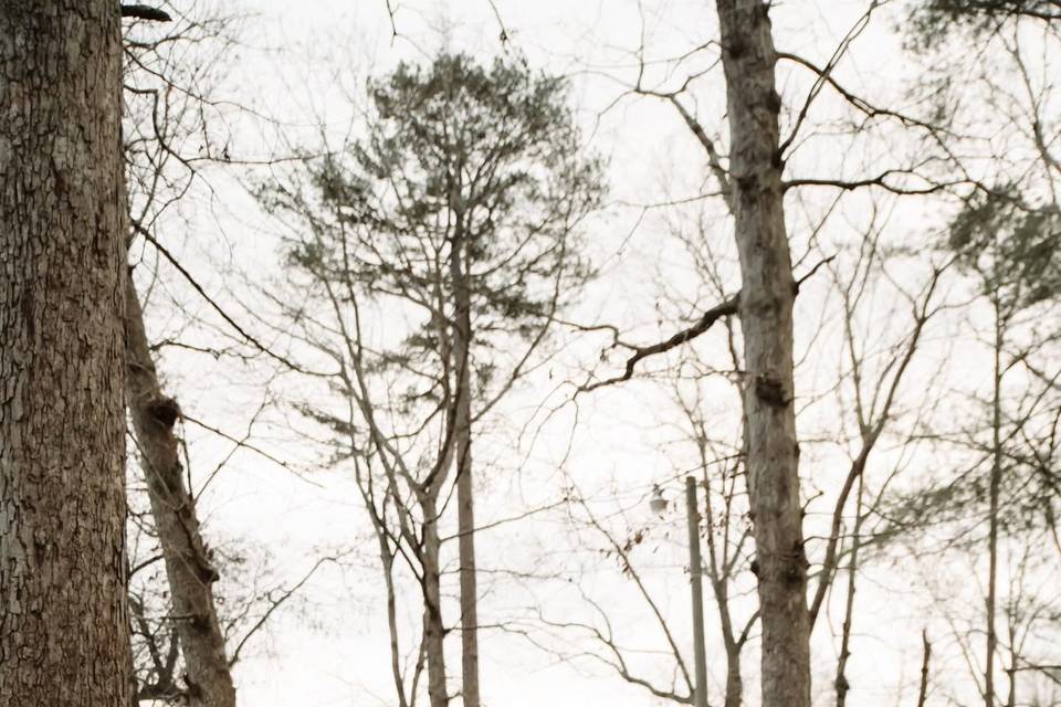 Woods Ceremony Site