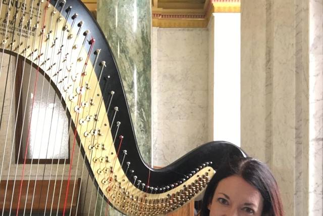 Devon Carpenter, Harpist