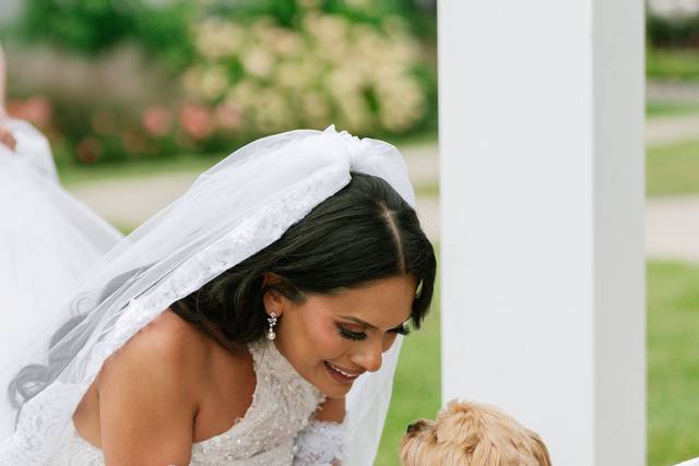 DogandBride