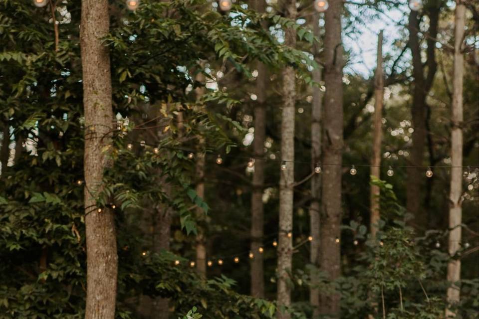 Ceremony Arch