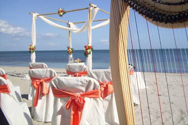 Crandon Park Beach Wedding, Key Biscayne, Miami Beach Harpist