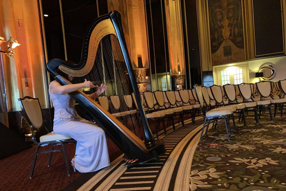 Devon Carpenter, Harpist
