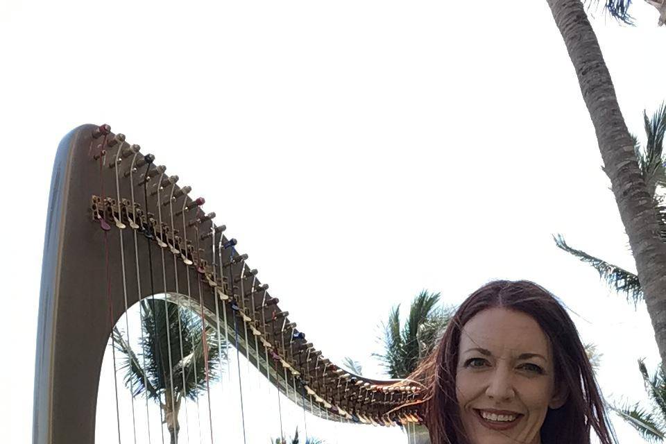 Harp in Puerto Vallarta, Mex.