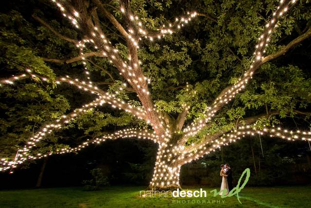 Nathan Desch Photography