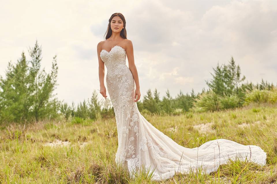 Lace wedding dress