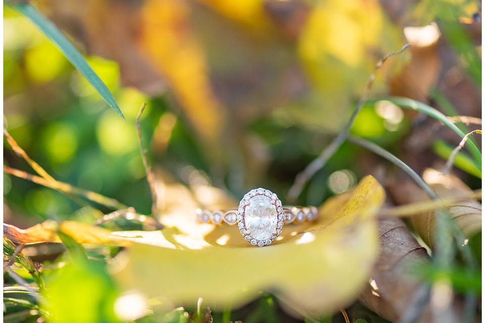 The Ring