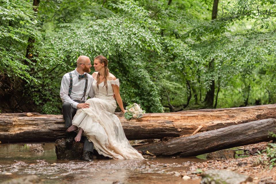 Romance in the forest