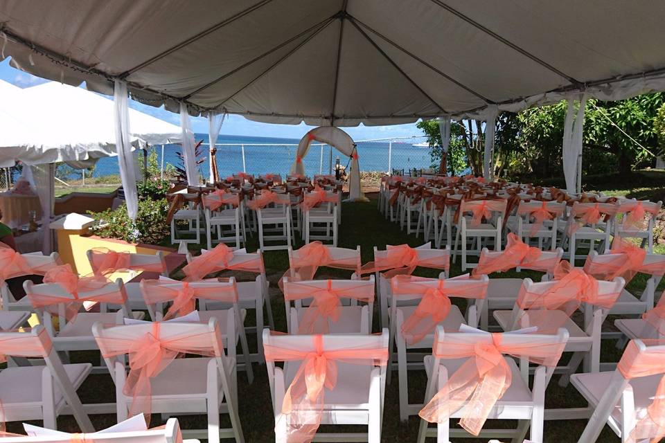 Backyard garden ceremony