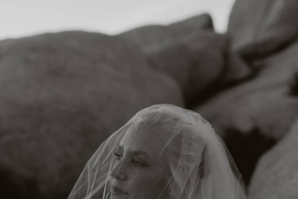 Joshua Tree elopement