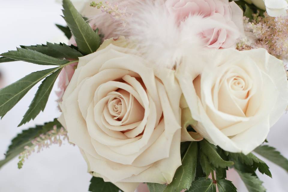 Cream and pink roses - Newma Photography