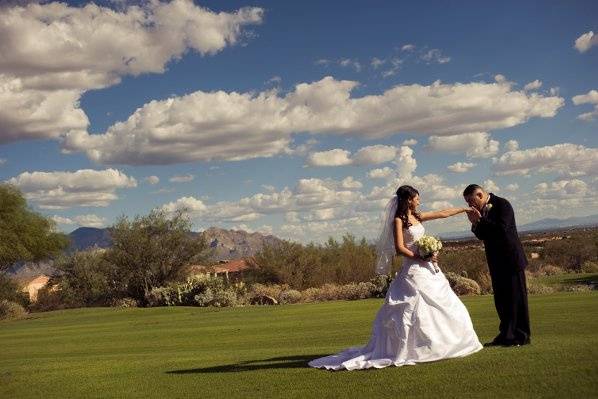 The Highlands at Dove Mountain