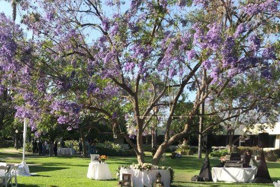 Garden wedding