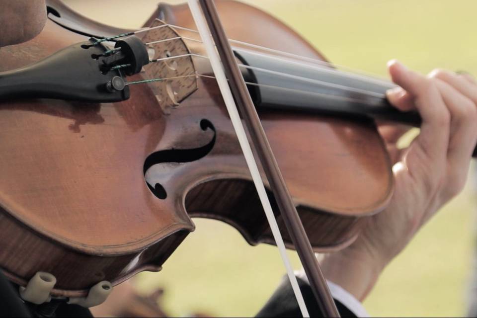 Violin music detail shots