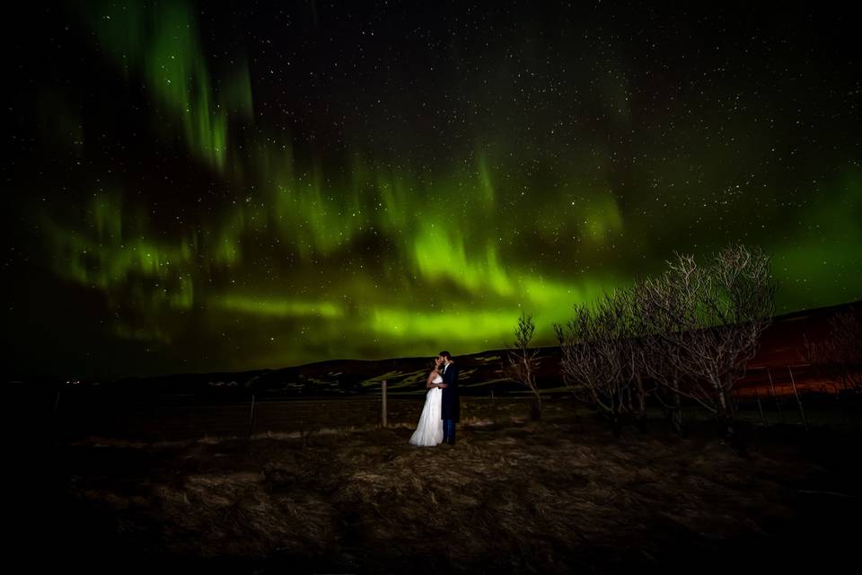 Trash the Dress