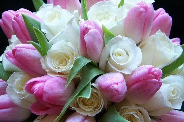 A close-up of a bridal bouquet for a Spring wedding.  Mixed pink tulips and white sweetheart roses are clutched together to create a soft, delicate bouquet.