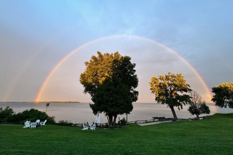 Rainbow Over Trees